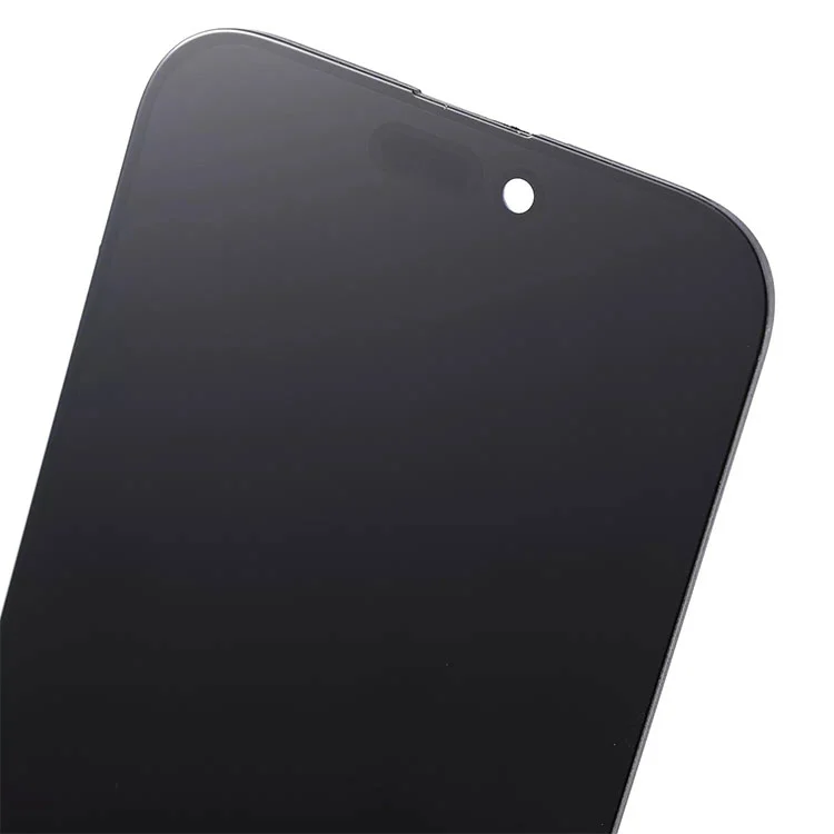 16 „Pro Max LCD“ ekranai